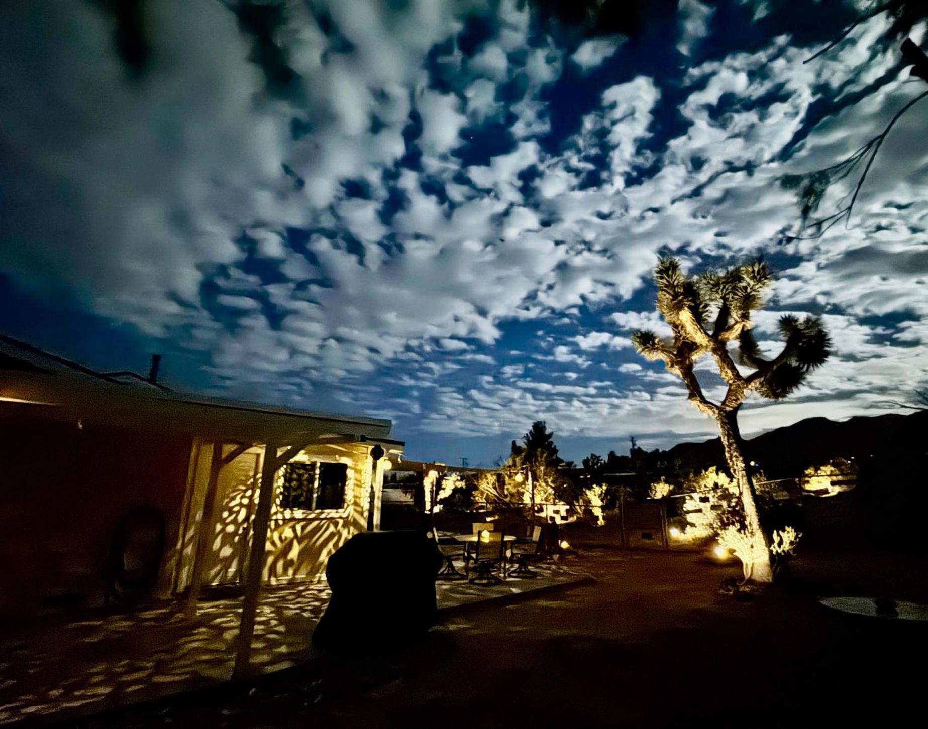 Float Pool, Hot Tub, Sauna, Views, Telescope-Skywatchers Haven ジョシュア・ツリー エクステリア 写真