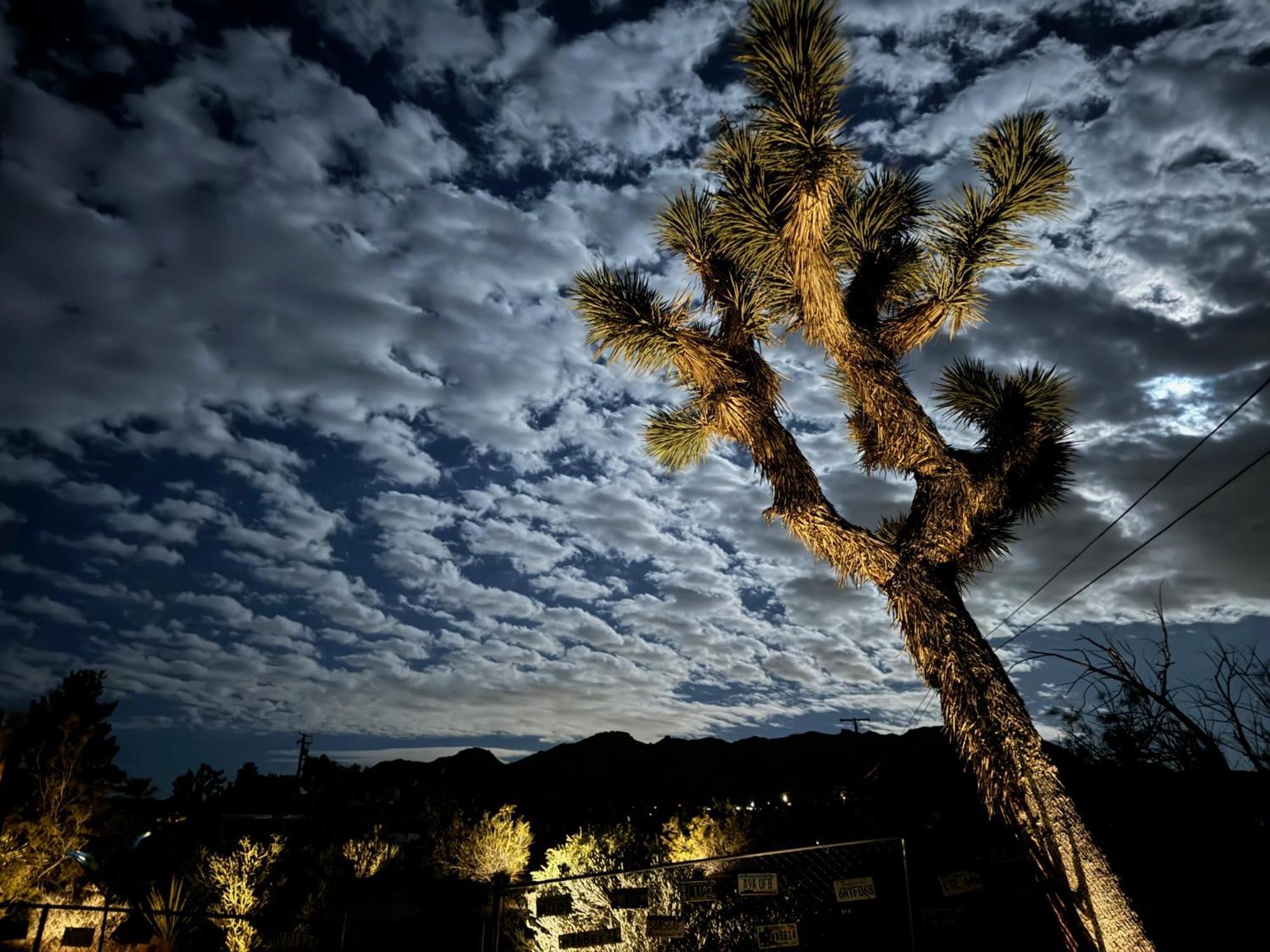 Float Pool, Hot Tub, Sauna, Views, Telescope-Skywatchers Haven ジョシュア・ツリー エクステリア 写真
