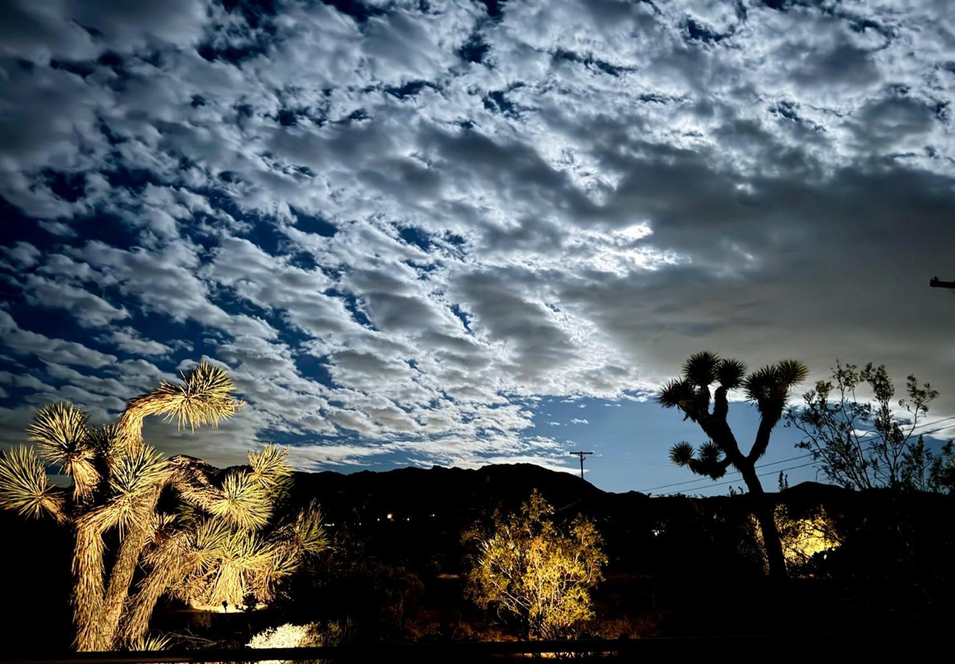 Float Pool, Hot Tub, Sauna, Views, Telescope-Skywatchers Haven ジョシュア・ツリー エクステリア 写真
