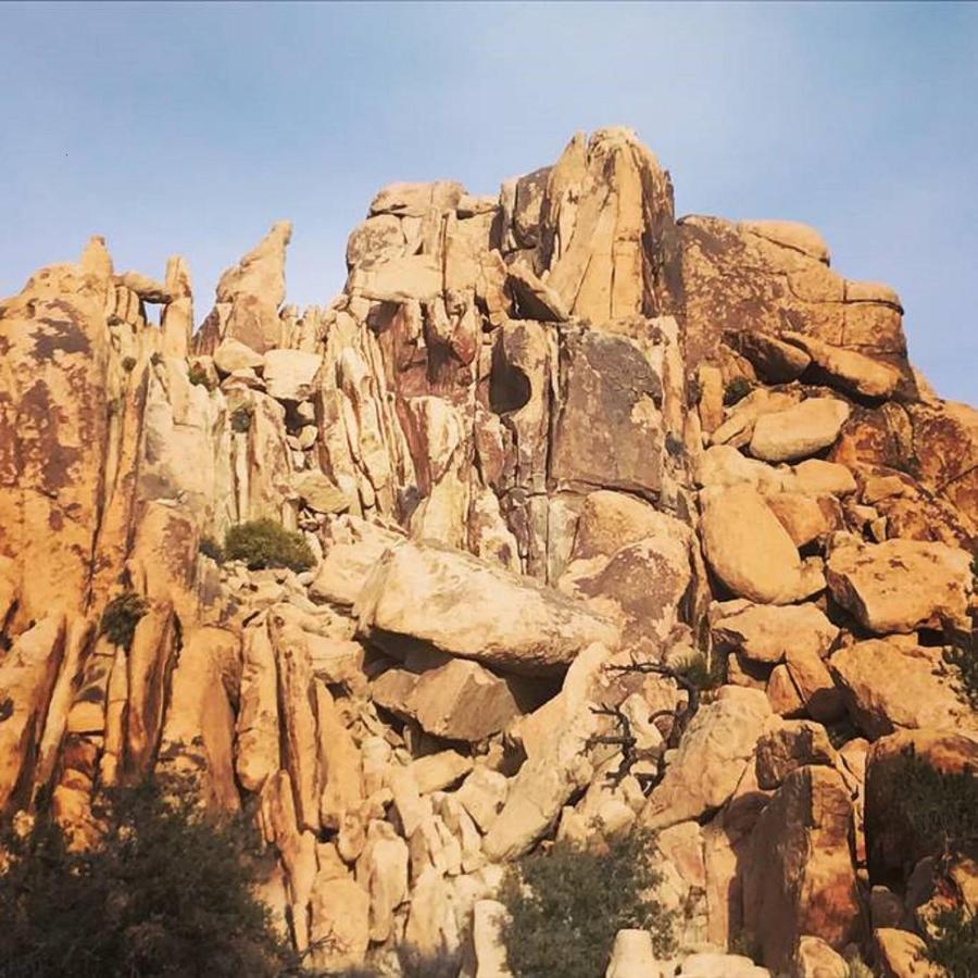 Float Pool, Hot Tub, Sauna, Views, Telescope-Skywatchers Haven ジョシュア・ツリー エクステリア 写真